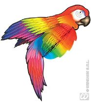 Papoušek dekorace 76cm - Oslavy