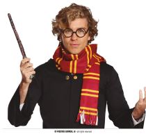 Sada kouzelník - čaroděj Harry - šála a brýle - 2 ks - Papírové