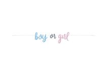 Girlanda Gender reveal - Boy or Girl -  Kluk nebo Holka - 213 cm - Papírové