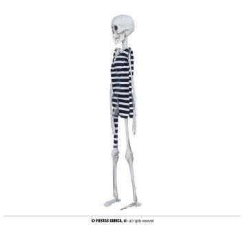 Skeleton - Kostra - vězeň - kostlivec k zavěšení 40 cm - Halloween