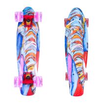 Penny board ArtFish Elephant 22" se svítícími kolečky - Skateboardy a longboardy