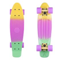 Penny board Fish Classic 3Colors 22" Barva Yellow+Summer Purple+Green-Yellow-Summer Purple - Skateboardy a longboardy
