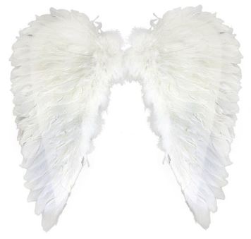 Křídla andělská z peří