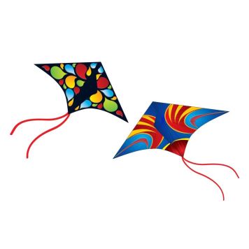 drak létající barevný 114x61cm 2 druhy