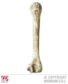 Kost starodávná 39cm