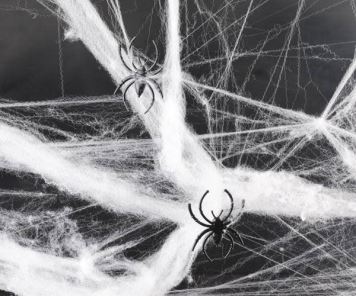 Pavučina bílá 20g + 2 pavouci - Halloween