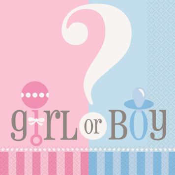 Ubrousky Gender reveal "Girl or Boy" - "Holka nebo kluk" - 16 ks - 33 x 33 cm