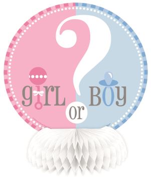 Dekorace na stůl Gender reveal "Girl or Boy" - "Holka nebo kluk" 4 ks