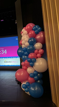 1786745291balslo1_29