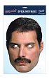 Queen Freddie Mercury - Maska celebrit