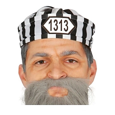 1784638769gui13719_1