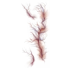 1784638771gui15739_1