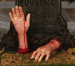 1784638776gui19767_1
