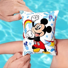 1784638887nafmickey2_1