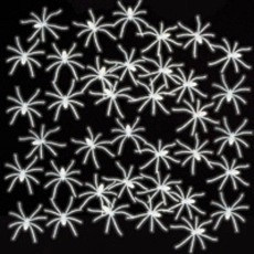 1785240526fol23615_1