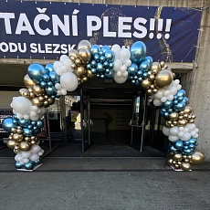 1786745290balbra_4