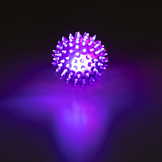 857551_1