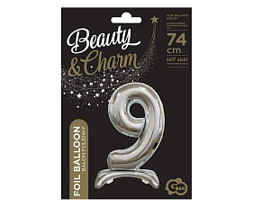 bc-ass9_1