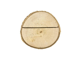 dpw2_1