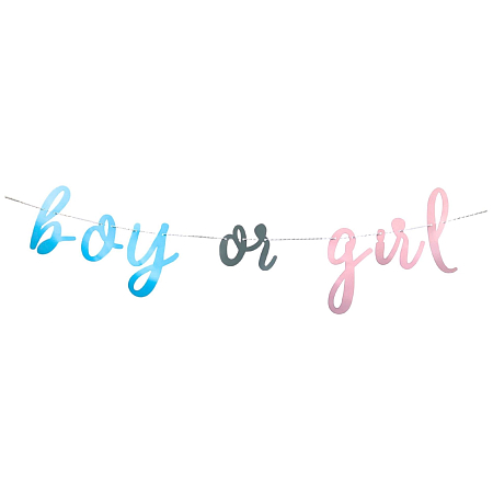 Girlanda Gender reveal - Boy or Girl -  Kluk nebo Holka - 213 cm