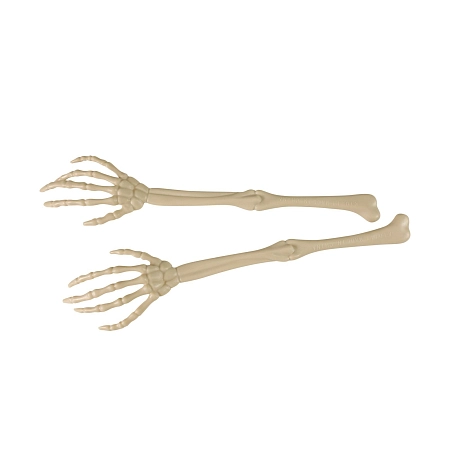 Dekorace kostra ruka - Skeleton - Halloween - 2 ks - 36 cm