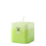 Square Single Green flowers