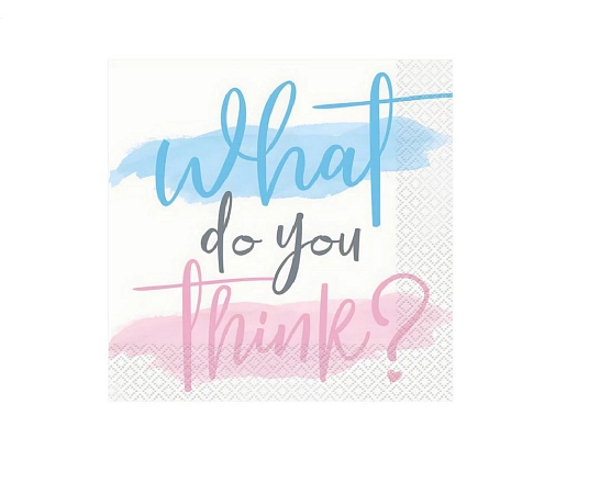 Ubrousky Gender reveal - Boy or Girl - Kluk nebo holka - 32 x 32 cm - 16 ks