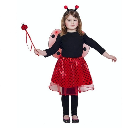Dětský kostým - sada beruška - 4 ks - unisex