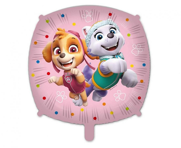 Balón foliový Tlapková patrola - Sky a Everest - 45 cm
