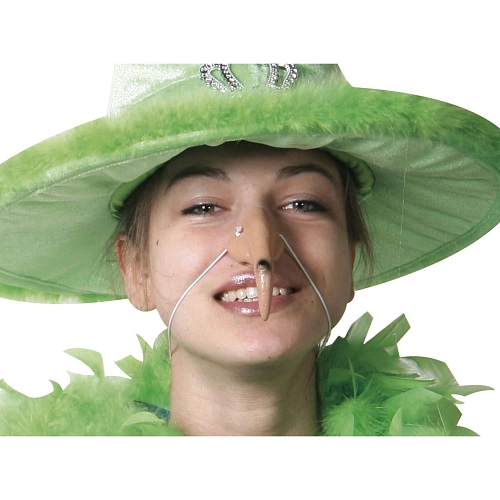 Nos s bradavicí - čarodějnice - Halloween