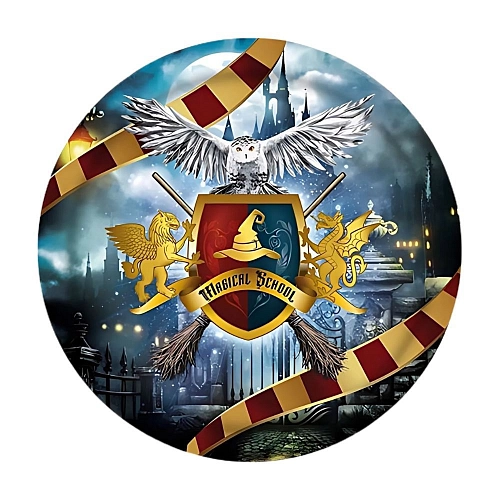 Papírové talíře čaroděj - kouzelník HARRY - 6 ks - 23 cm