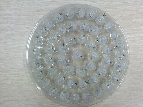 LED Světélka BÍLÉ KONSTANTNÍ 50ks / BLISTR