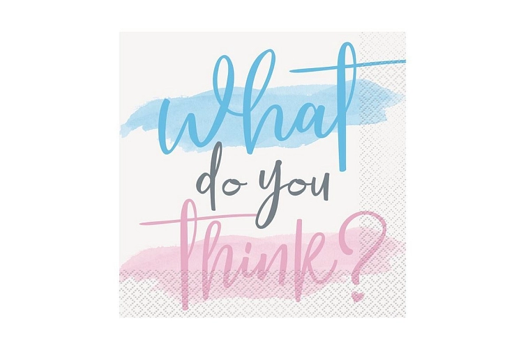 Ubrousky Gender reveal - Boy or Girl -  Kluk nebo holka - 32 x 32 cm - 16 ks