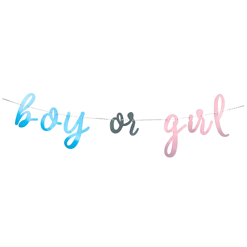 Girlanda Gender reveal - Boy or Girl -  Kluk nebo Holka - 213 cm