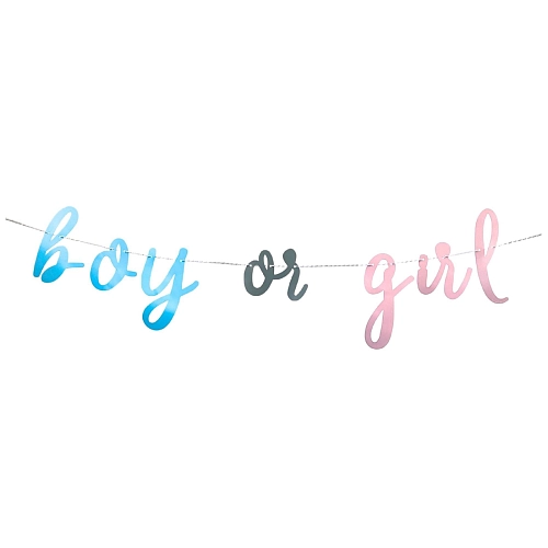 Girlanda Gender reveal - Boy or Girl -  Kluk nebo Holka - 213 cm