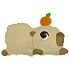Fóliový balónek Capybara - Kapibara - 60 cm