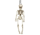 SKELETON - KOSTRA - kostlivec k zavěšení 40 cm- Halloween