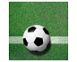 Papírové ubrousky FOTBAL - 33 x 33 cm - 20 ks