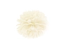 PAPÍROVÝ POMPOM 25cm - KRÉMOVÁ